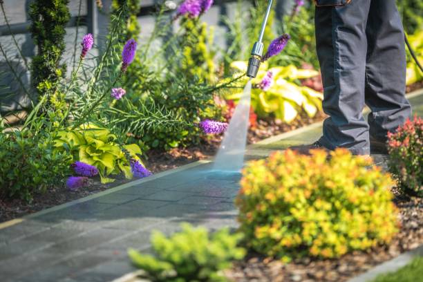 Best Driveway Pressure Washing  in South Riding, VA
